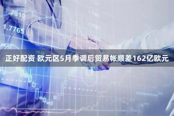 正好配资 欧元区5月季调后贸易帐顺差162亿欧元