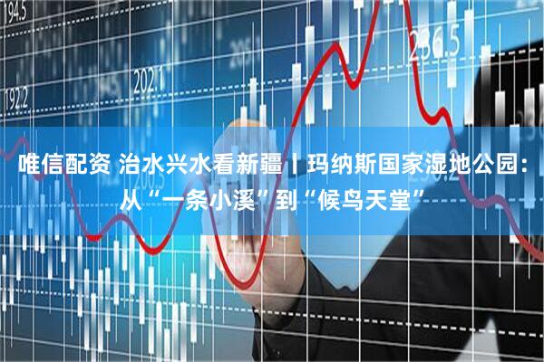 唯信配资 治水兴水看新疆丨玛纳斯国家湿地公园：从“一条小溪”到“候鸟天堂”