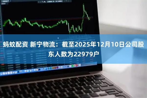 蚂蚊配资 新宁物流：截至2025年12月10日公司股东人数为22979户
