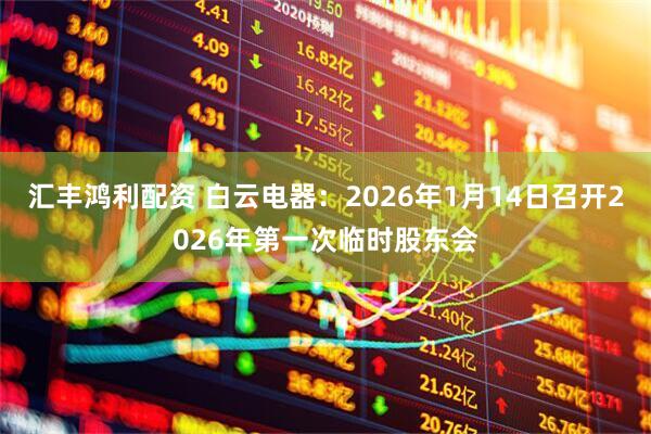 汇丰鸿利配资 白云电器：2026年1月14日召开2026年第一次临时股东会
